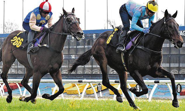 ONG'S MEGA BLAZE SETS TRIALS ON FIRE