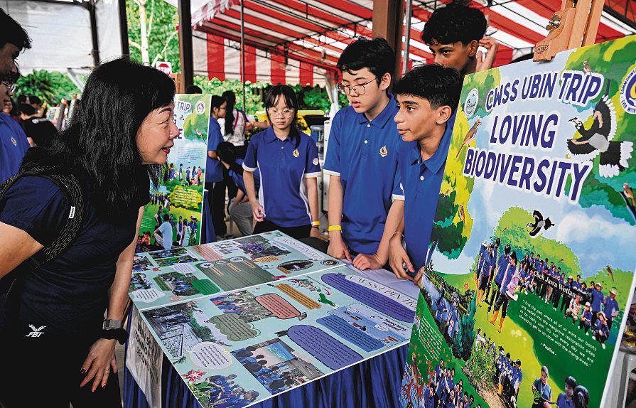 Ubin School Brings Lessons on Singapore Environment, Land-Use Needs to Life