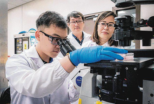 Singapore-made gel allows lab testing of drugs on live samples of advanced abdominal cancer