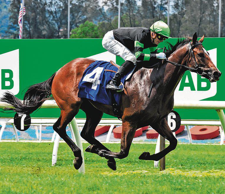 Hypeman, The Star Can Take Centre Stage