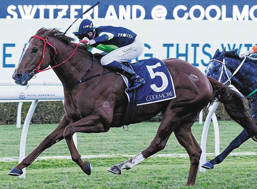 Wet Winter Tale Of Two Horses