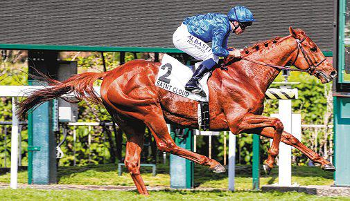 Tribalist Can Win Pools Race
