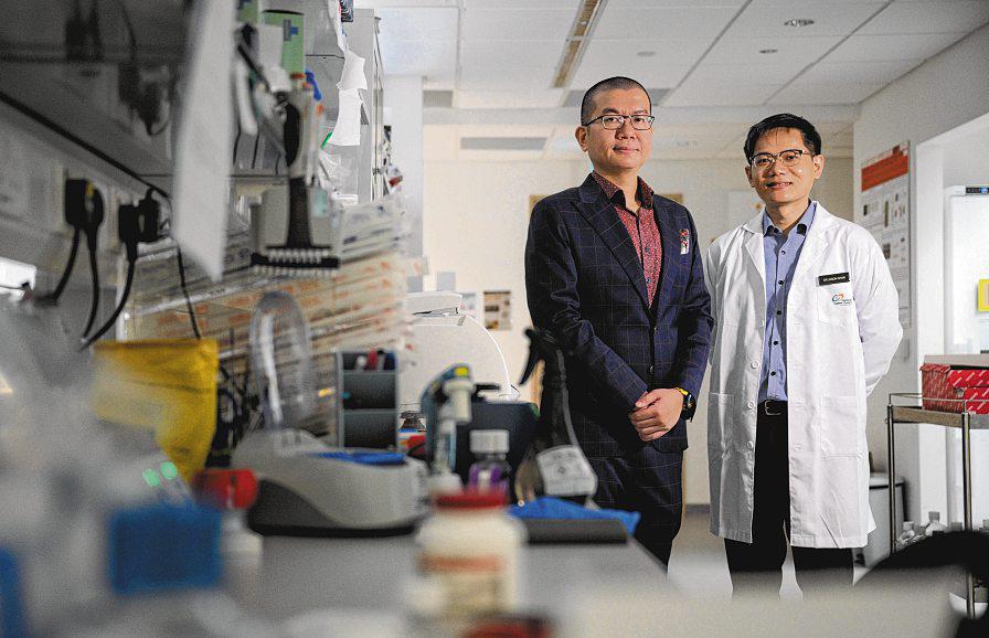 Soya sauce could help treat cancer via skincare tech