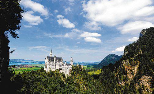 Dog Freed From Locker After Owner Shut It Inside to Tour German Castle