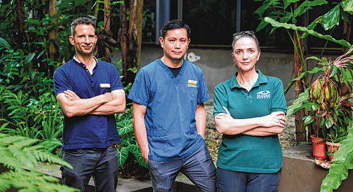 How animal cells in cold storage can help with wildlife protection in S'pore