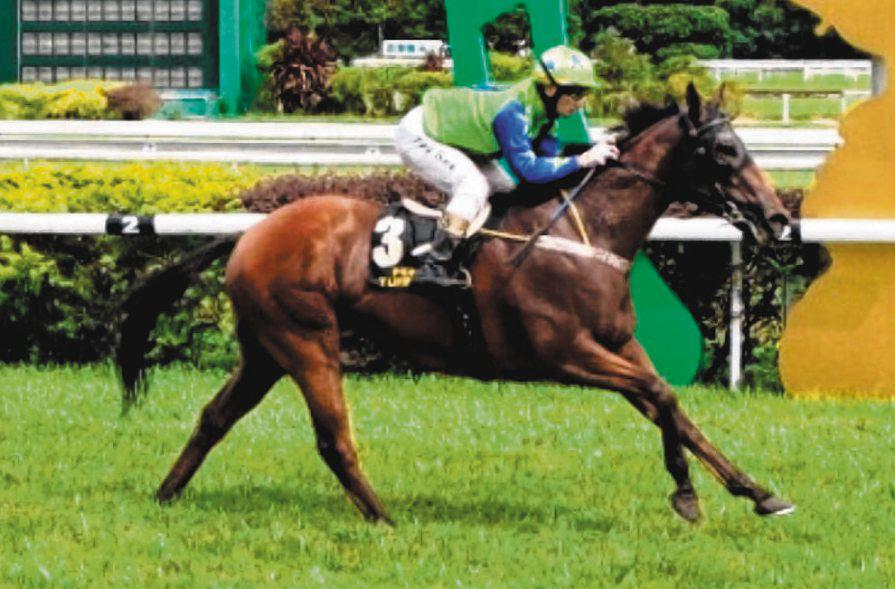 ONG, SEE BREAK GROUP 1 DUCK