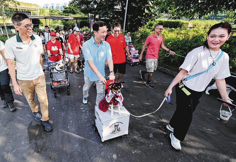 Big challenge in changing attitudes towards vapes, says Health Minister