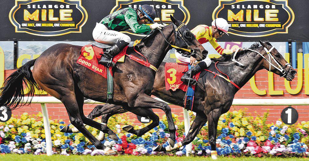 Lucky Magic Gains the Verdict in Selangor Mile