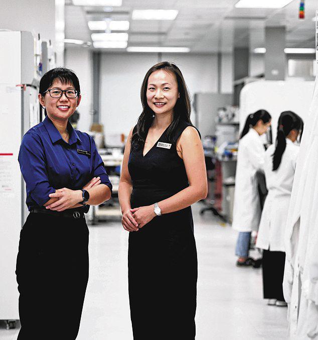 Recruitment of child participants begins for trial of new dengue vaccine