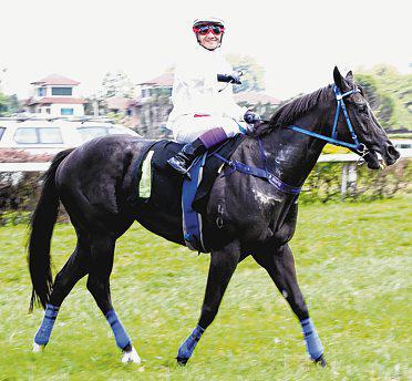 Rocket Boy returns to winning ways in Cosmo C race
