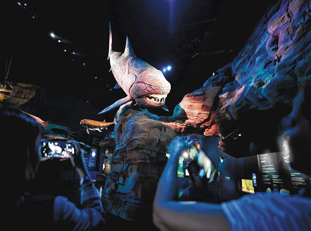 Charting new waters with Singapore Oceanarium