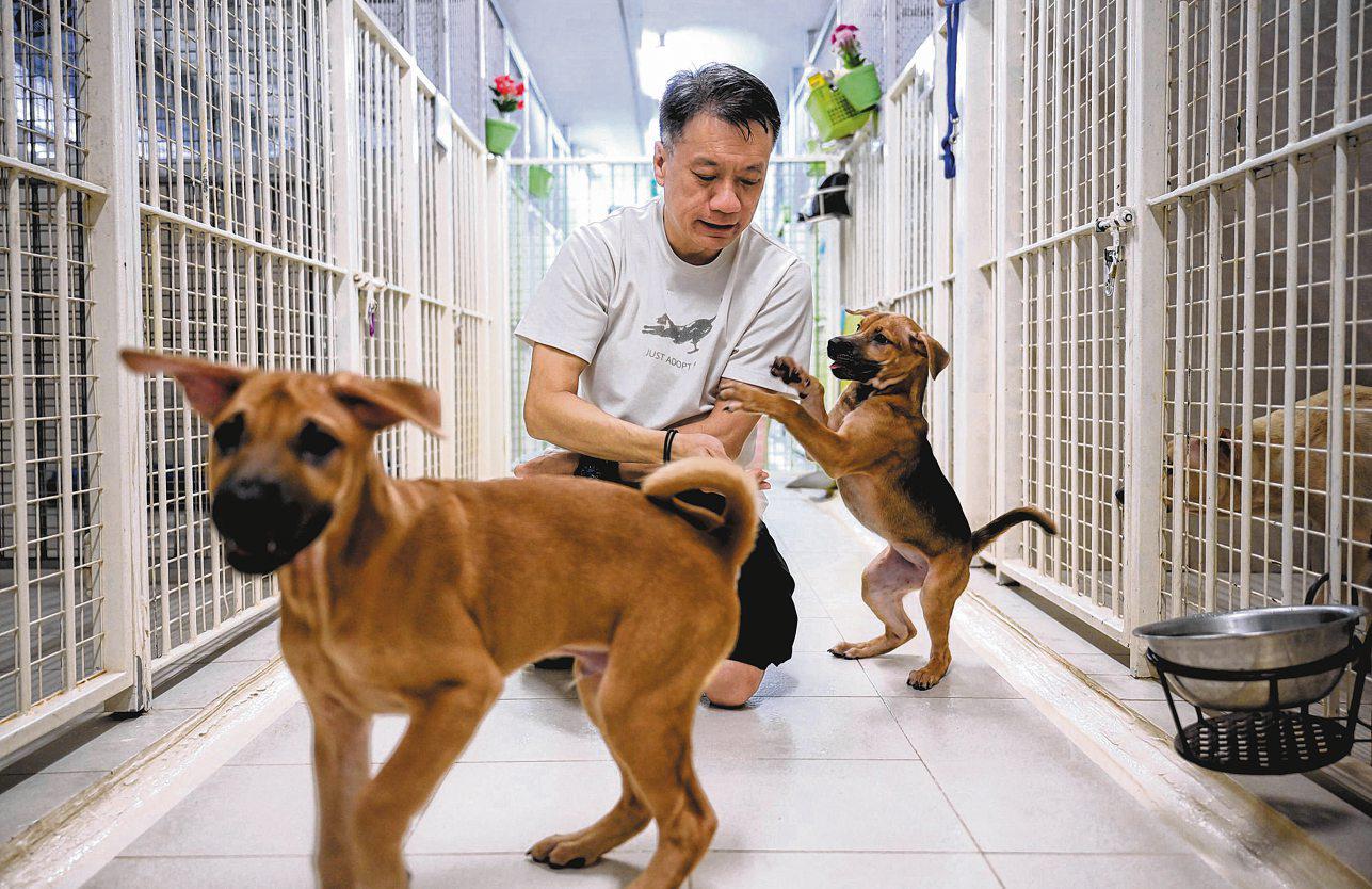 Animal shelters chart their own paths on welfare and care