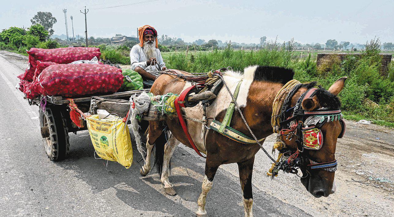 India remains cautious over agriculture, dairy in trade talks with US
