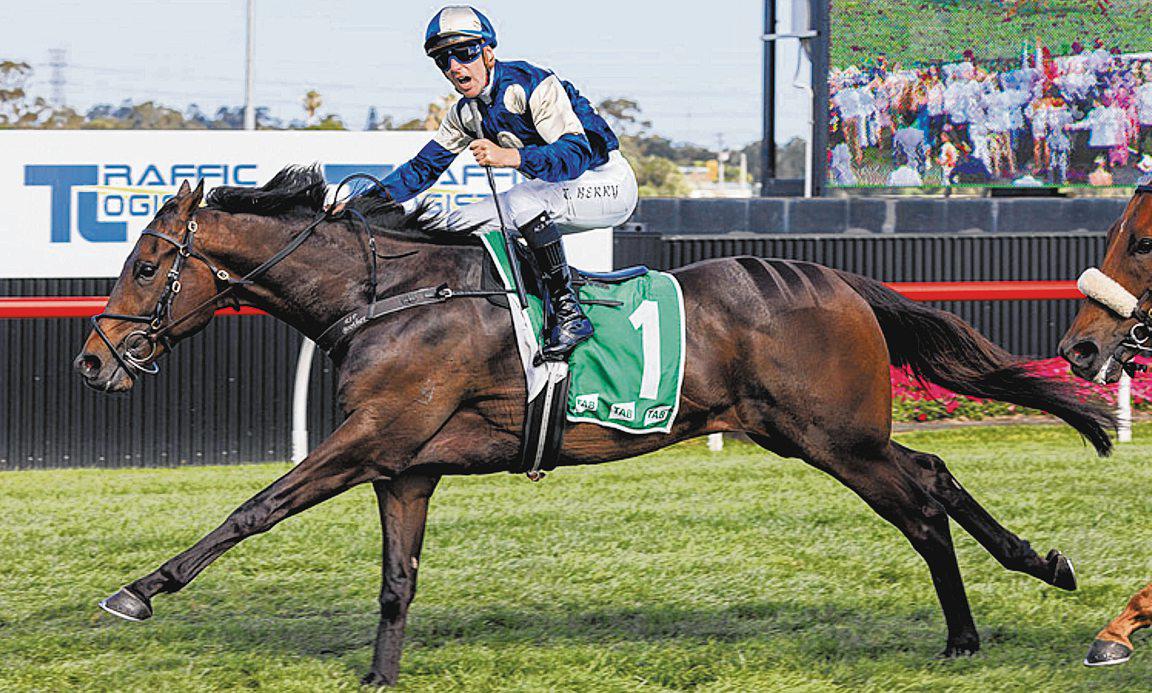 Gringotts To Target Winx Stakes First-Up