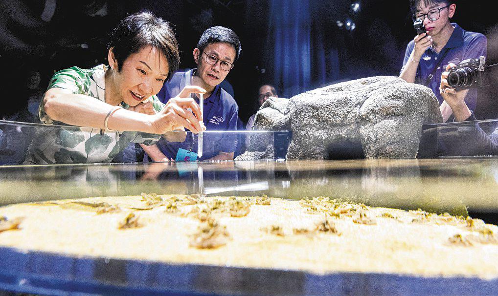 Oceanarium Will Enhance Tourism While Contributing to Green Goals: Grace Fu