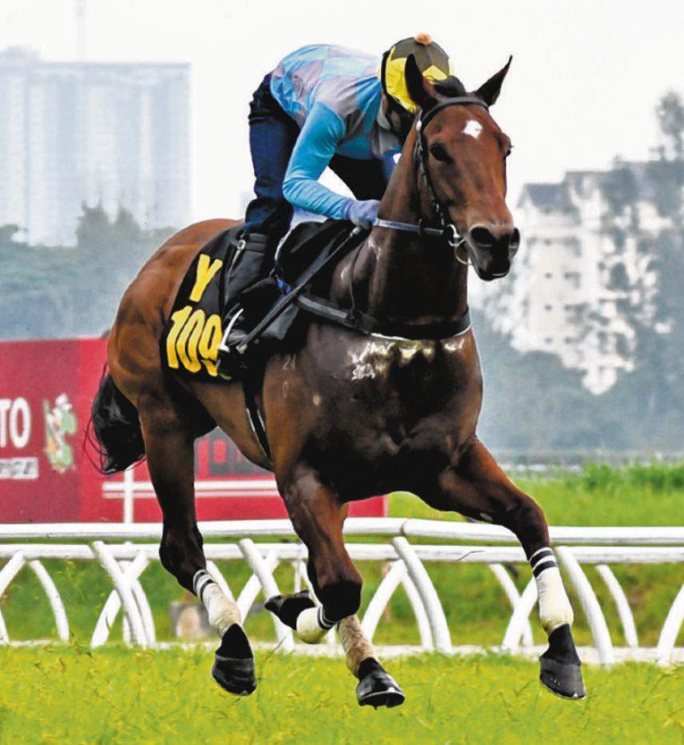 Our Jet Is Lined Up For Take-Off