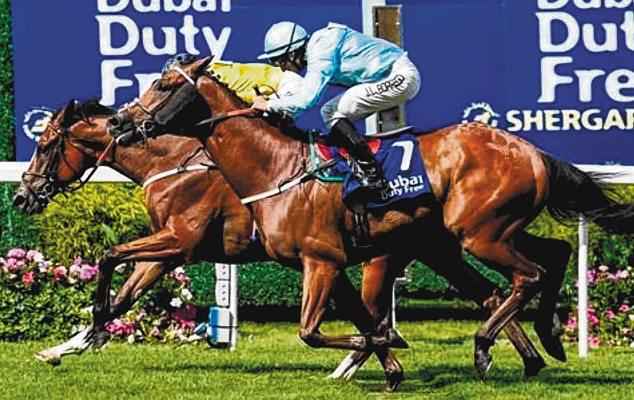 Shergar Cup Teams Are Final