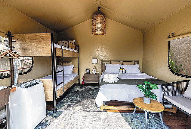 Live it up, safari style, at Colugo Camp