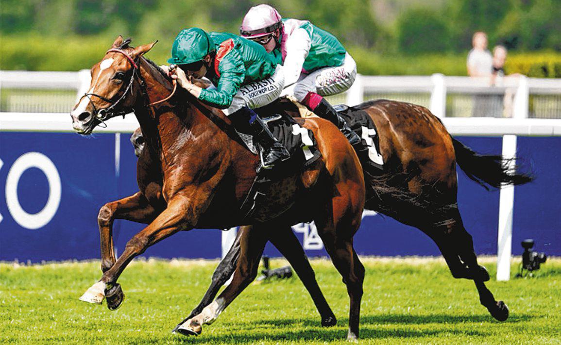 Calandagan Storms Home To Take Crown At Ascot