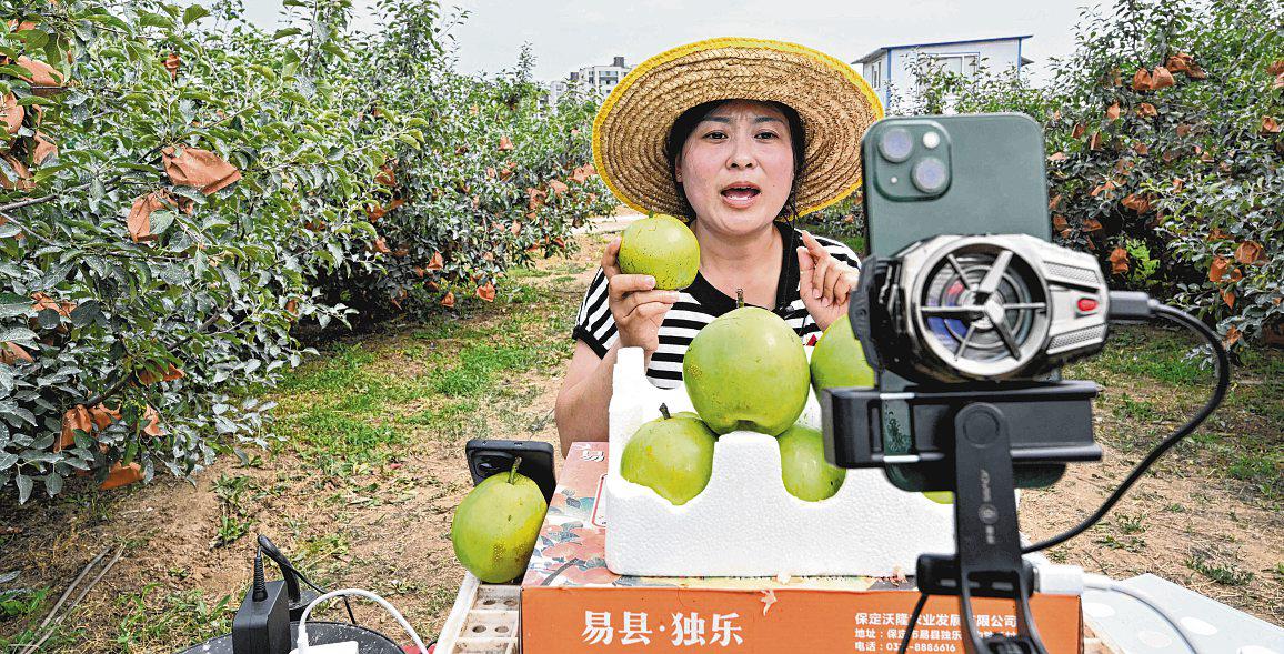 China's 'new farmers' learn to live-stream in rural revitalisation