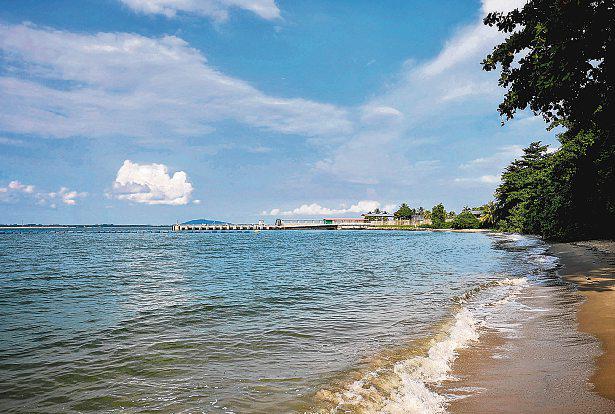 Reclamation works will not affect access to Changi intertidal areas, say authorities