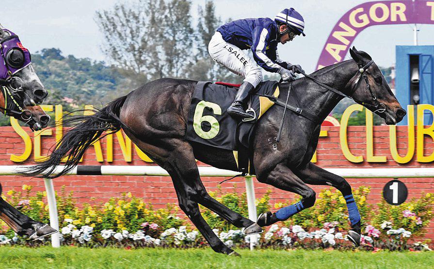 NO MORE DELAY SET TO DOUBLE THE SCORE