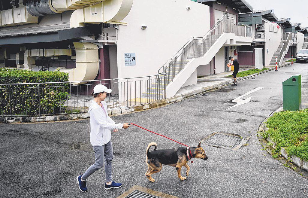 Spike in ticks at facility housing animal shelters