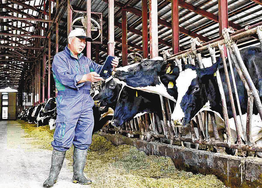 More Livestock in Japan Receive Telehealth Care Due to Vet Shortage