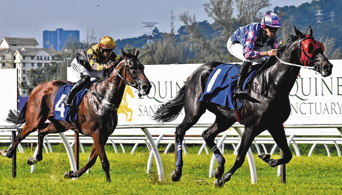 Platinum Emperor Has G1 Gold Cup In His Sights