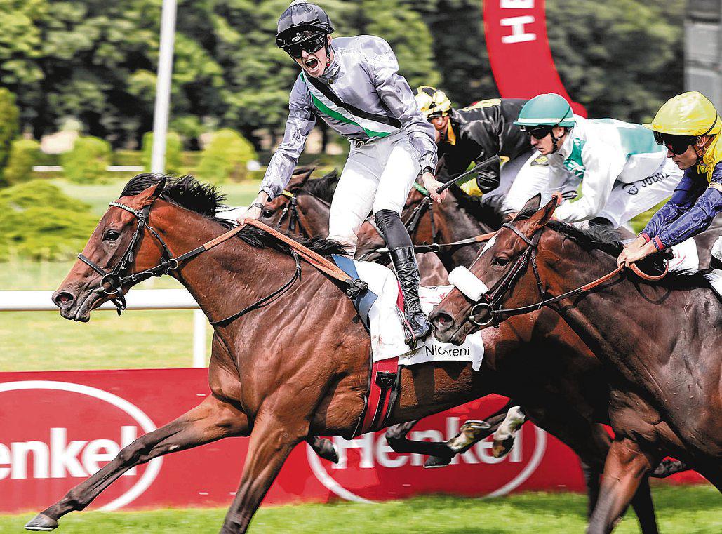 Still No Felling the Germans in Their Oaks