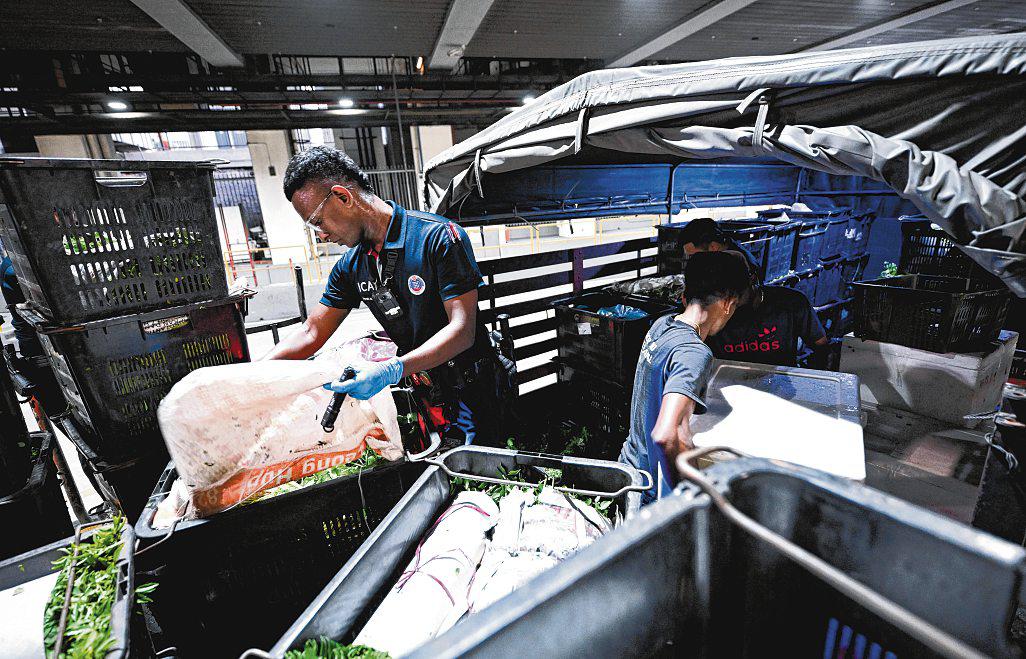 Finding hidden vapes: Inside ICA's mission to uncover contraband at land checkpoints