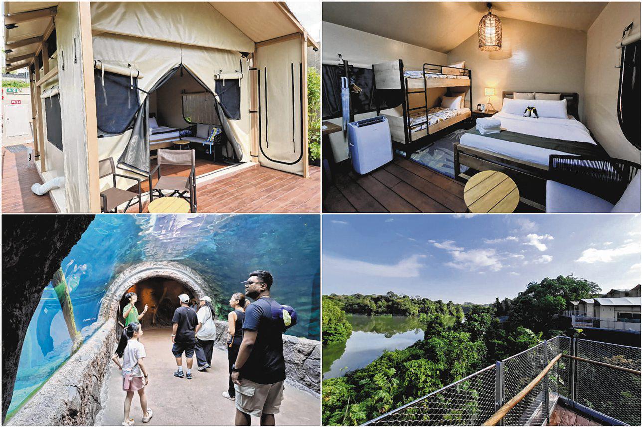 Is a luxury stay at Colugo Camp worth the $550 price tag?