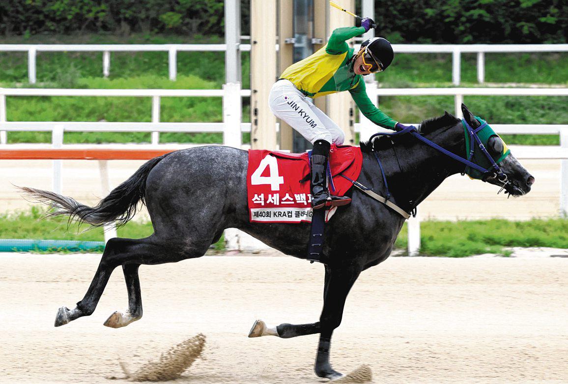 Success Baekpa Downs Global Hit in Group 2 KRA Cup Classic