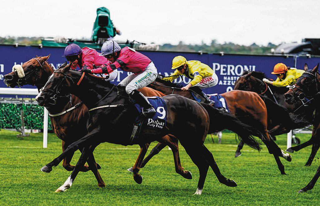 Shergar Cup, Always a Challenge to Find Winner