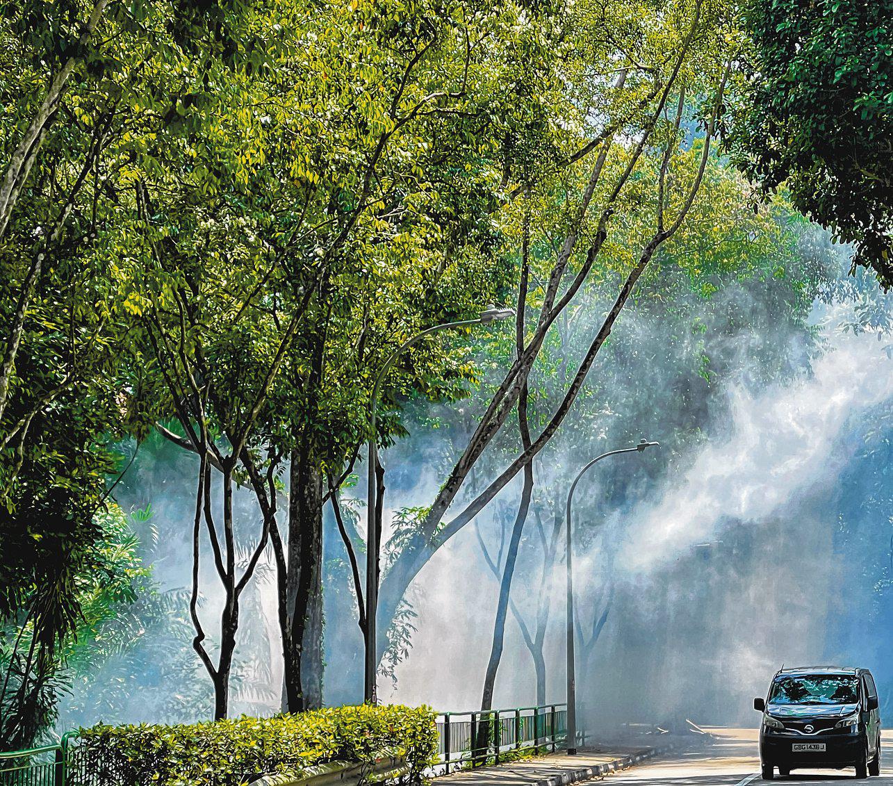 Singapore at 60 — A Sustainability Journey and the Way Forward