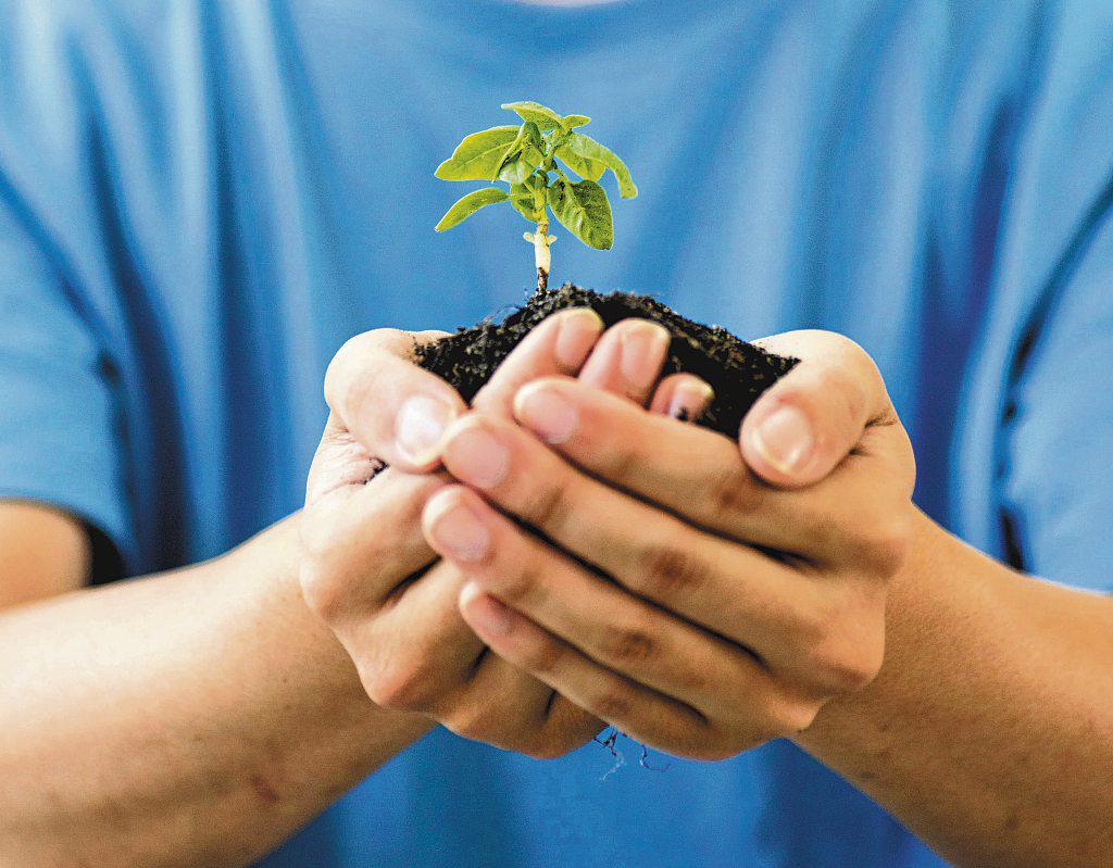 How Singapore's SMEs Are Shaping a Sustainable Future for Asean