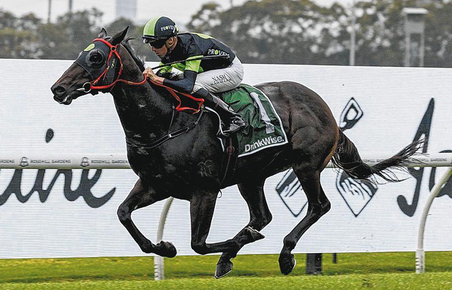 Private Eye Melbourne-Bound After Missile Stakes Scrapped