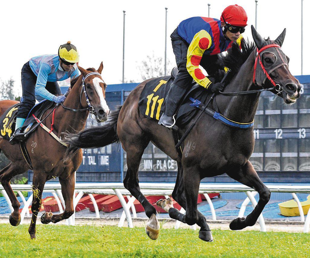 Problem Trio Pass Test In Style