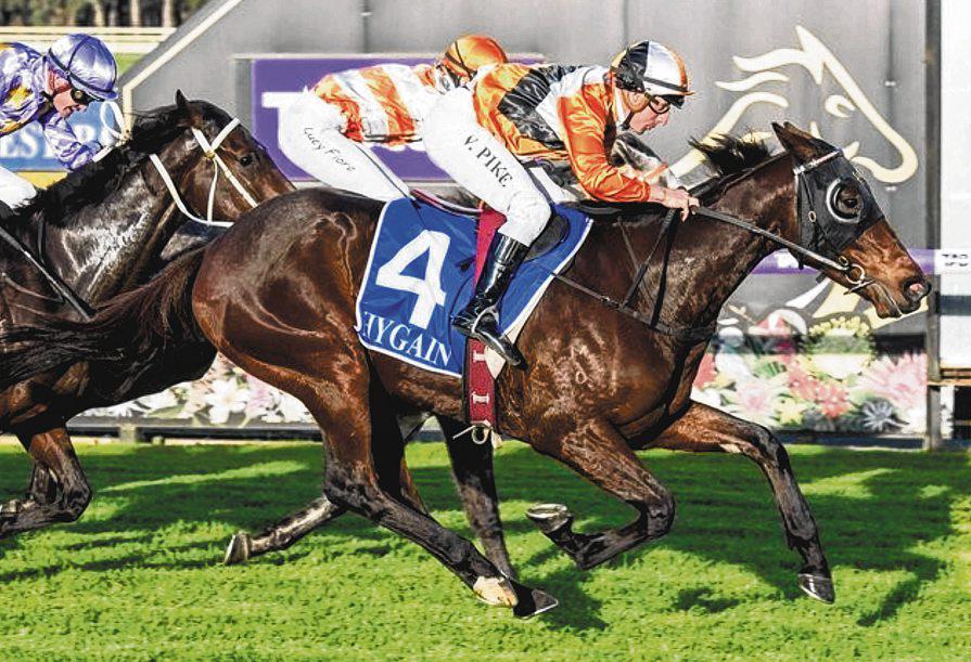 Sensational Win on the Cards