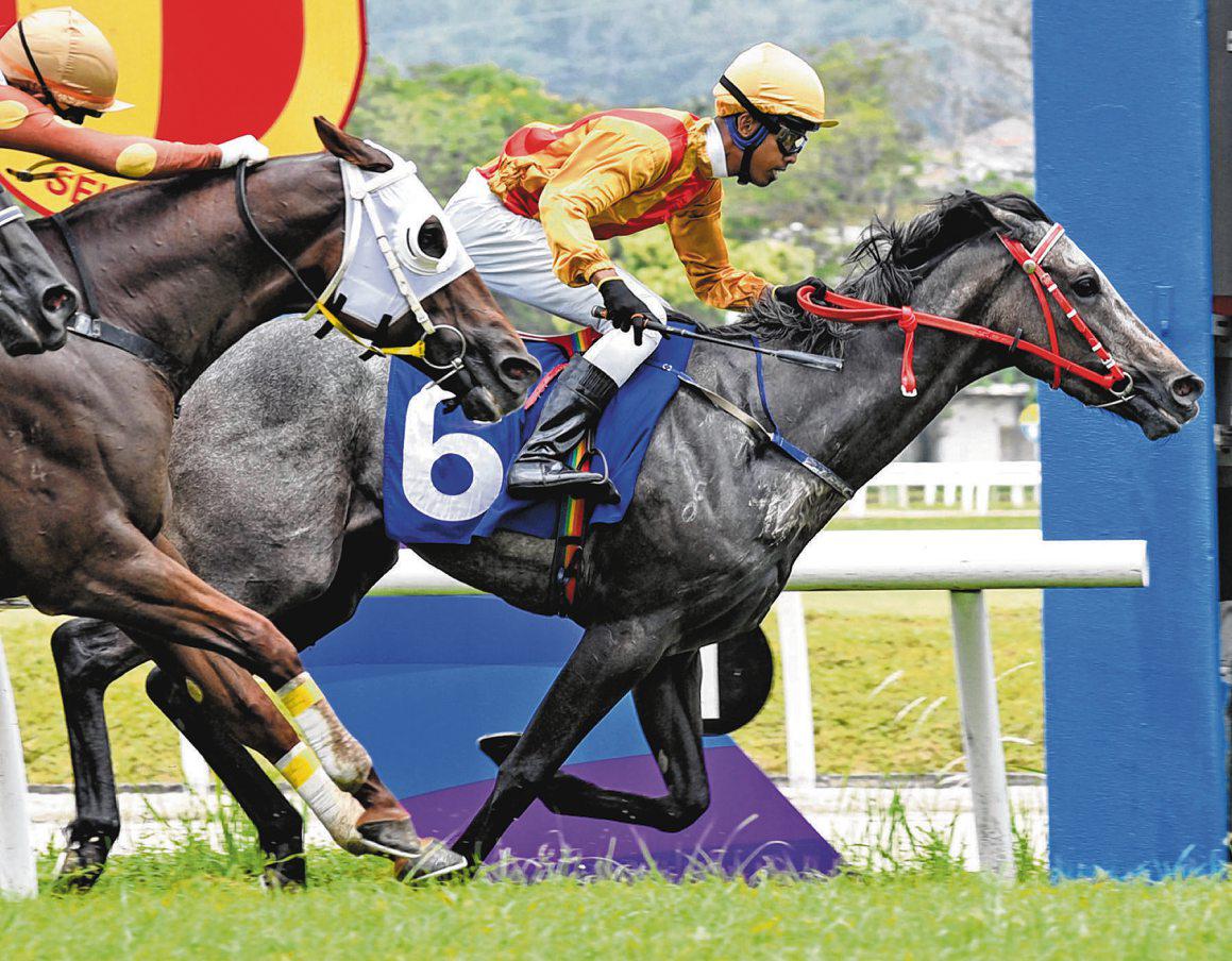 Work Is All Done, Starlight Glimmer Is Now Ready To Shine