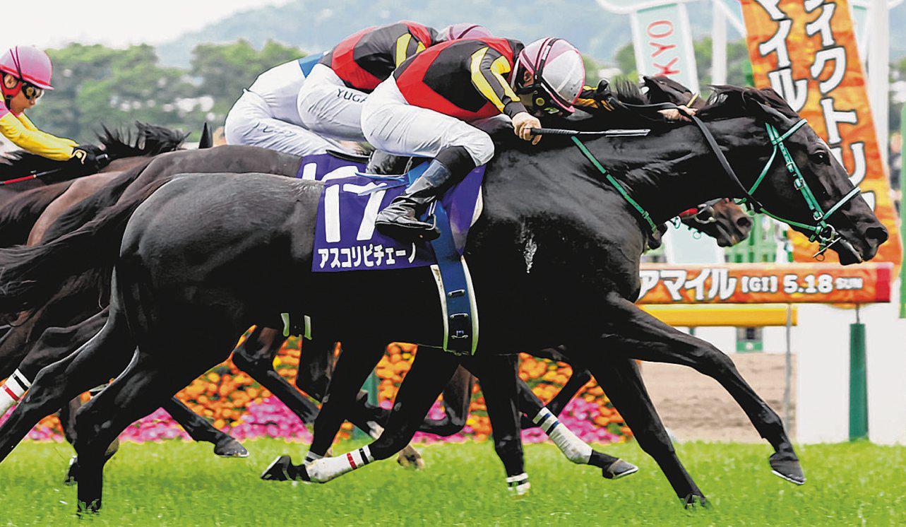 Deauville's G1 draws usual global raiders, including Asian powerhouse with a duo