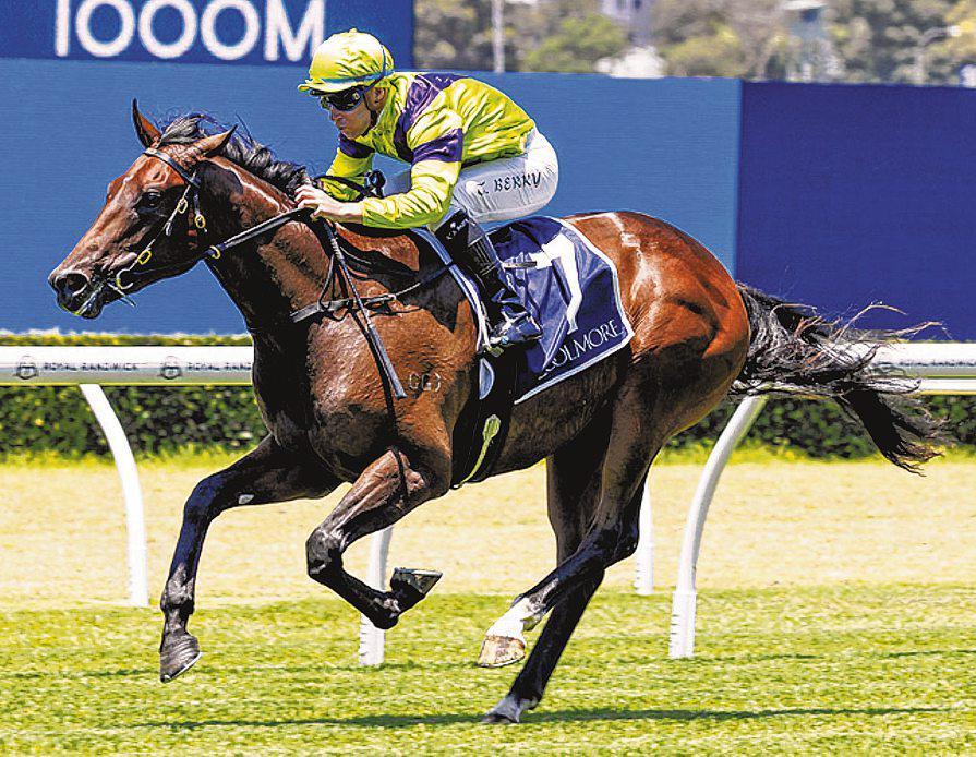 Pallaton To Bloom Further In The Rosebud