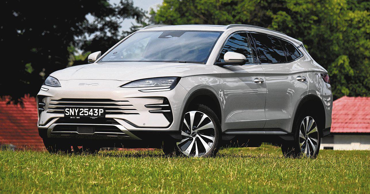 Dual Personality Works for Smaller Sealion