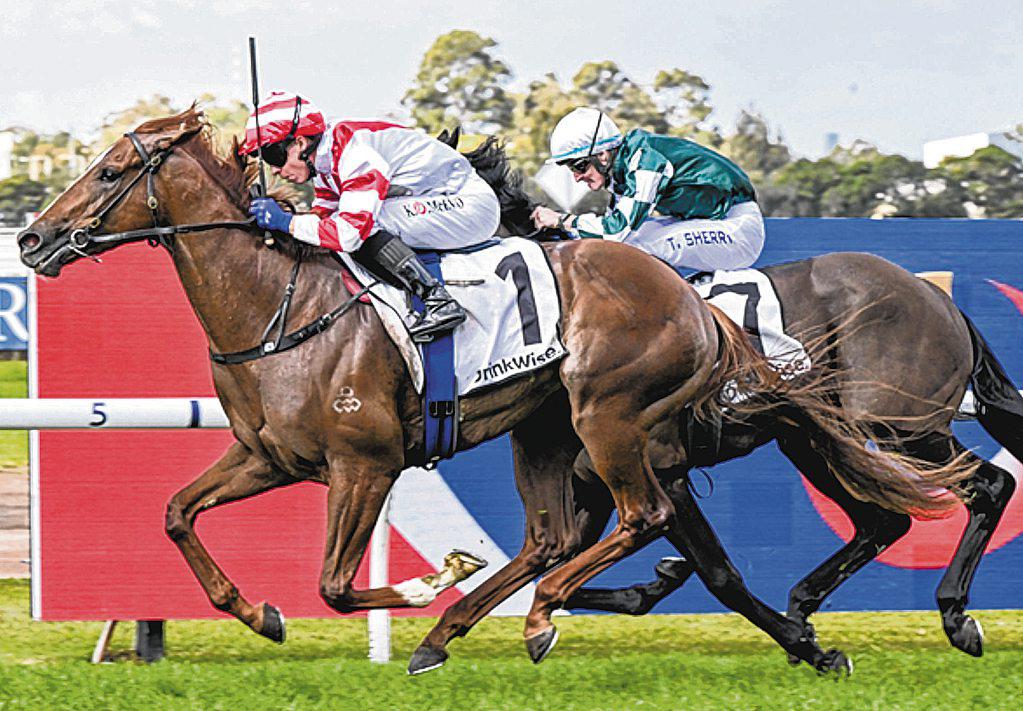 Sky's The Limit For Ryan's Gun 3YO