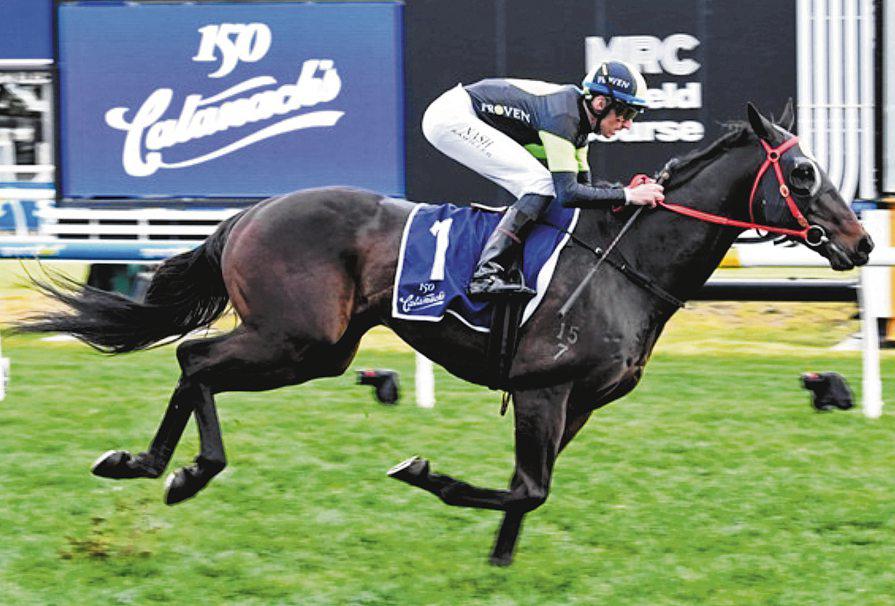 Private Eye Catches Rivals Napping in G2 Lawrence Stakes