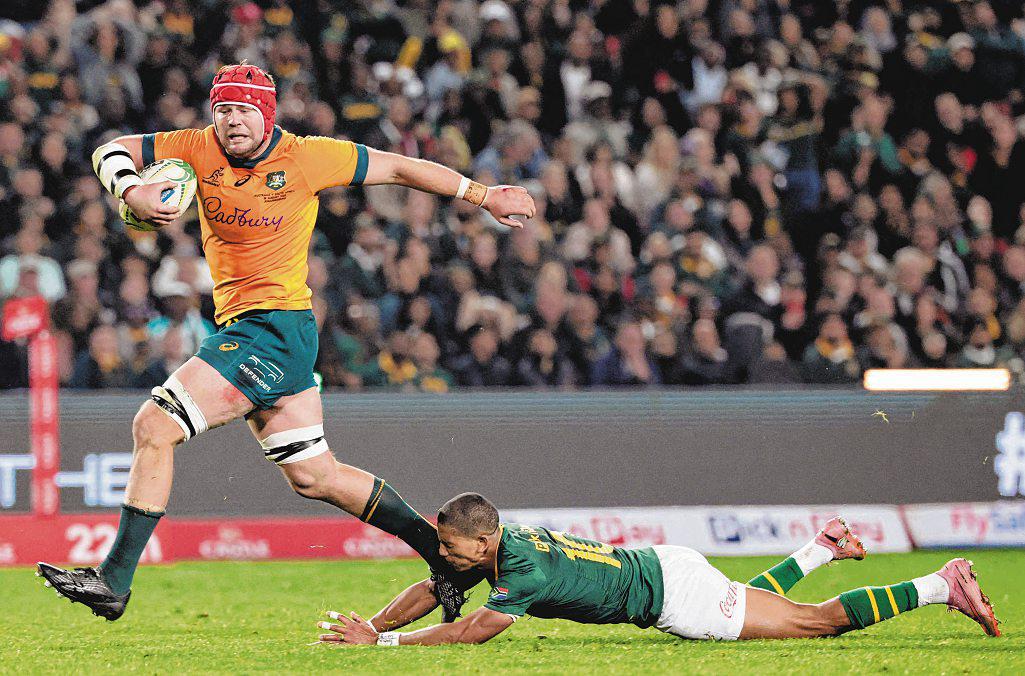 Schmidt hails 'great bunch' for fightback in S. Africa