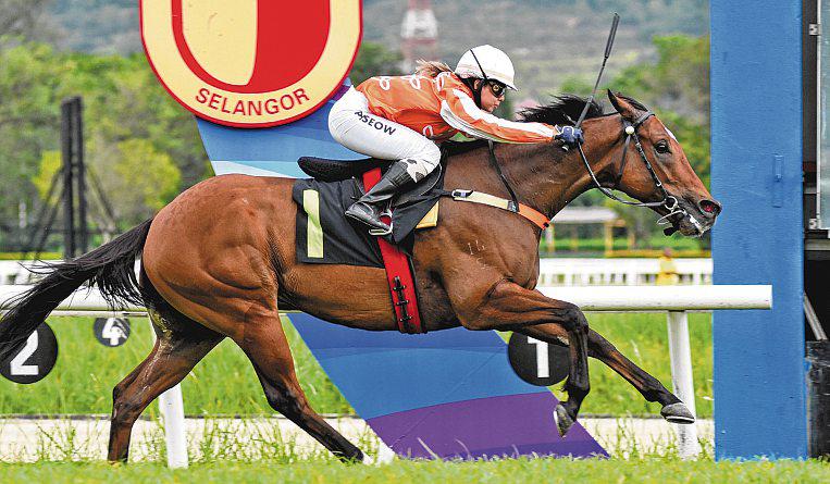 Pacific Vampire proves too strong over 1,020m sprint