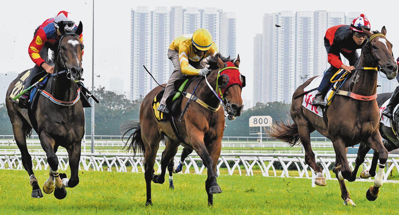 Lucky Magic Carpet Ride To Fly To Greater Heights