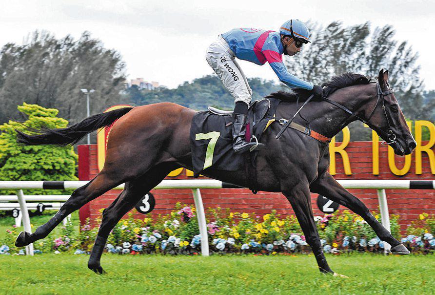 ROCKY BHAI CAN KEEP SELVAN'S PARTY GOING