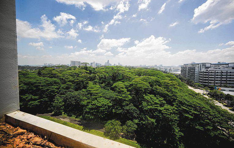 Loss of forested land expected to have minor impact on flying wildlife